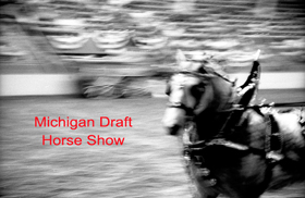 Michigan Draft horse show